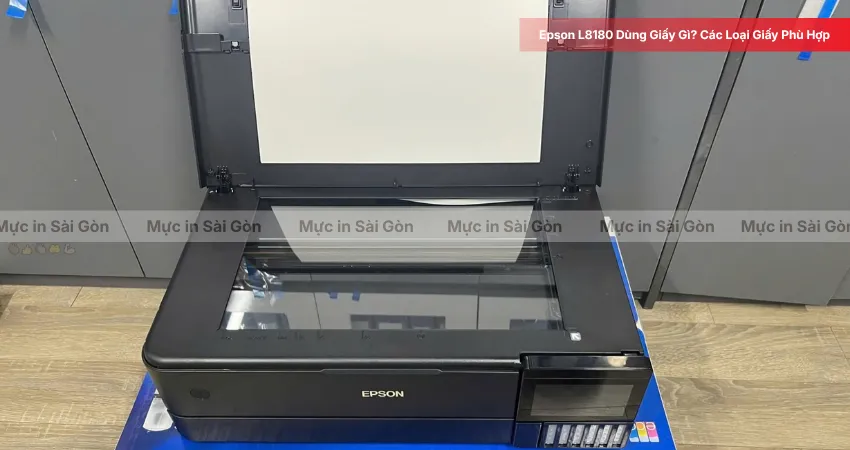 Epson L8180 Dùng Giấy Gì Để In Đẹp?