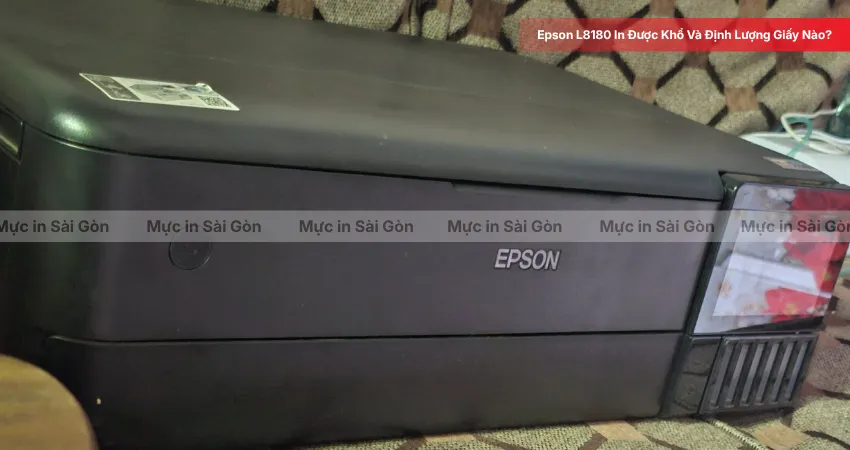 Từ 10 × 15 Đến A3+: Epson L8180 Hỗ Trợ Giấy Ra Sao?