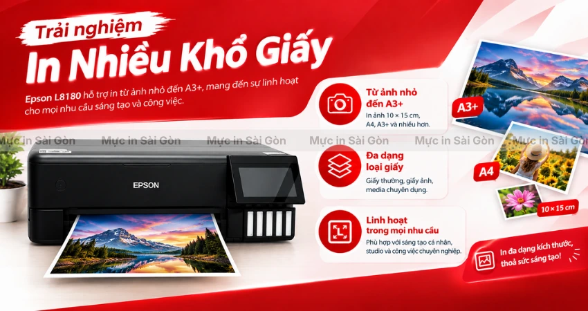 Từ 10 × 15 Đến A3+: Epson L8180 Linh Hoạt Đến Đâu?