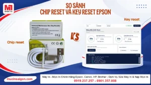 Chip Reset Và Key Reset Epson: Khác Biệt Và Cách Chọn